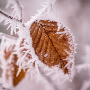 Coping with Christmas: Coping with intrusive questions from well-meaning relatives, why is everyone around me getting pregnant