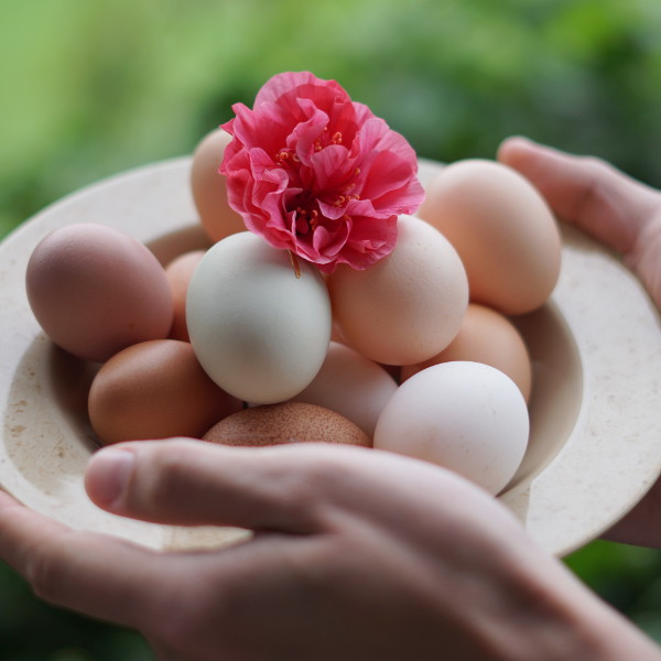 Impact of lifestyle choices on fertility - advice from a GP Impact of lifestyle choices on fertility - advice from a GP