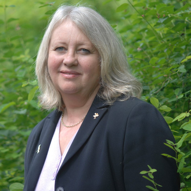 Carousel - Gillian Bellars 1 Carousel - Gillian Bellars 1