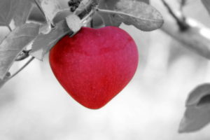 Holistic approach to fertility 10