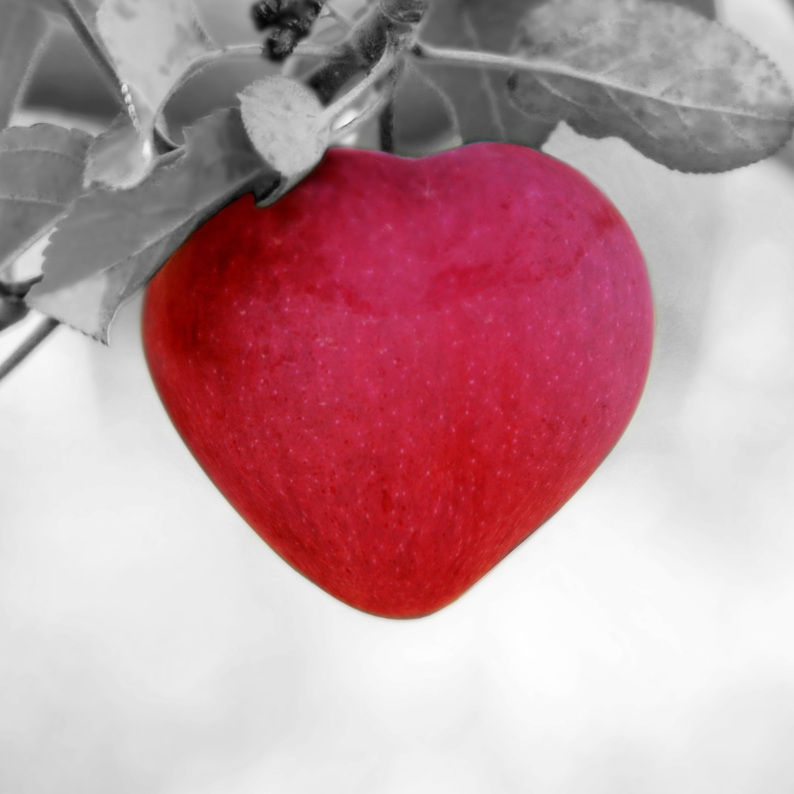 Holistic approach to fertility 10 (feat) nutrition to improve fertility best foods for managing PCOS