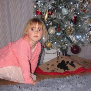 Sydney with Christmas tree