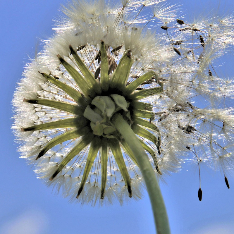 Infertility is a type of grief Infertility is a type of grief