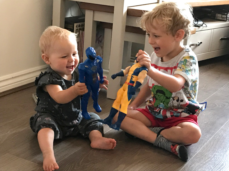 Harley and Logan playing together Harley and Logan playing together