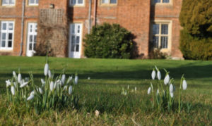 Snowdrops at Bourn Hall IVF pregnancy rates