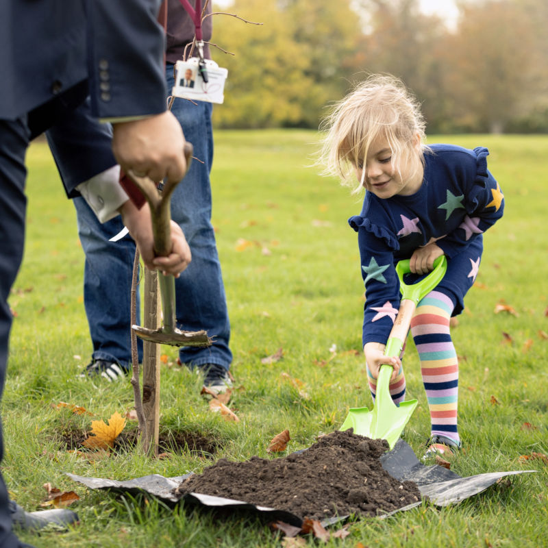 Lizzie helps plant a tree Lizzie helps plant a tree