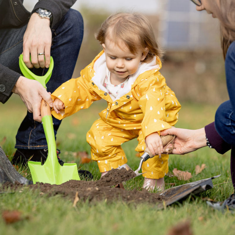 Lyla plants a tree Lyla plants a tree