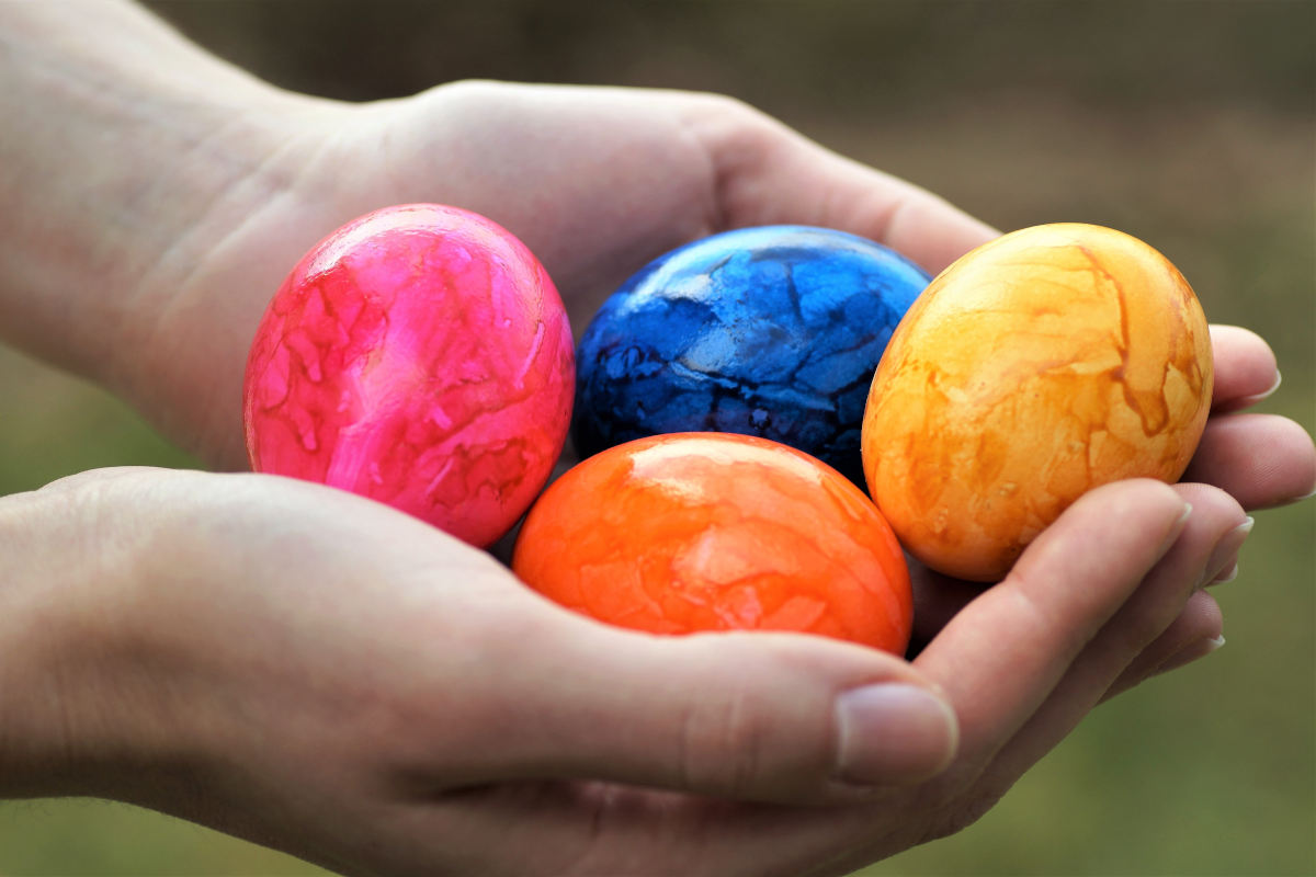 Egg-donation-1 Egg-donation-1