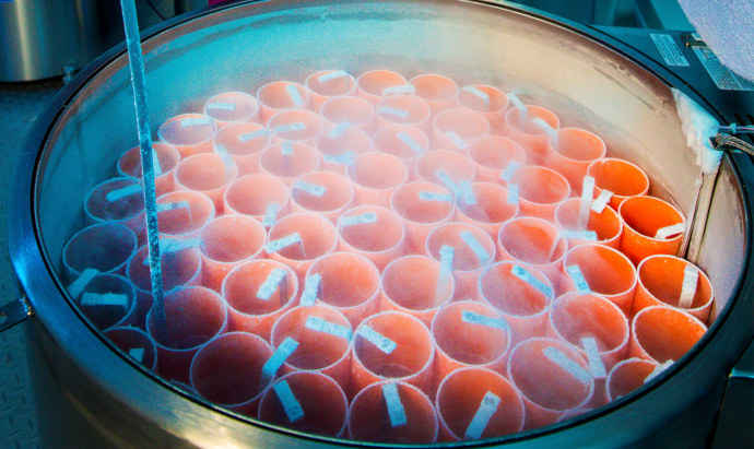 Freezing at Bourn Hall