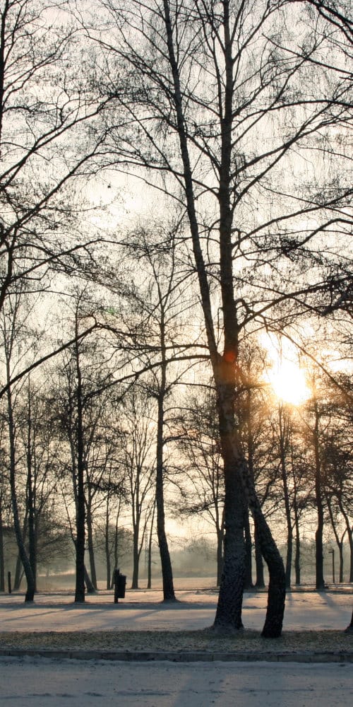 Coping with Christmas: Getting back your emotional strength